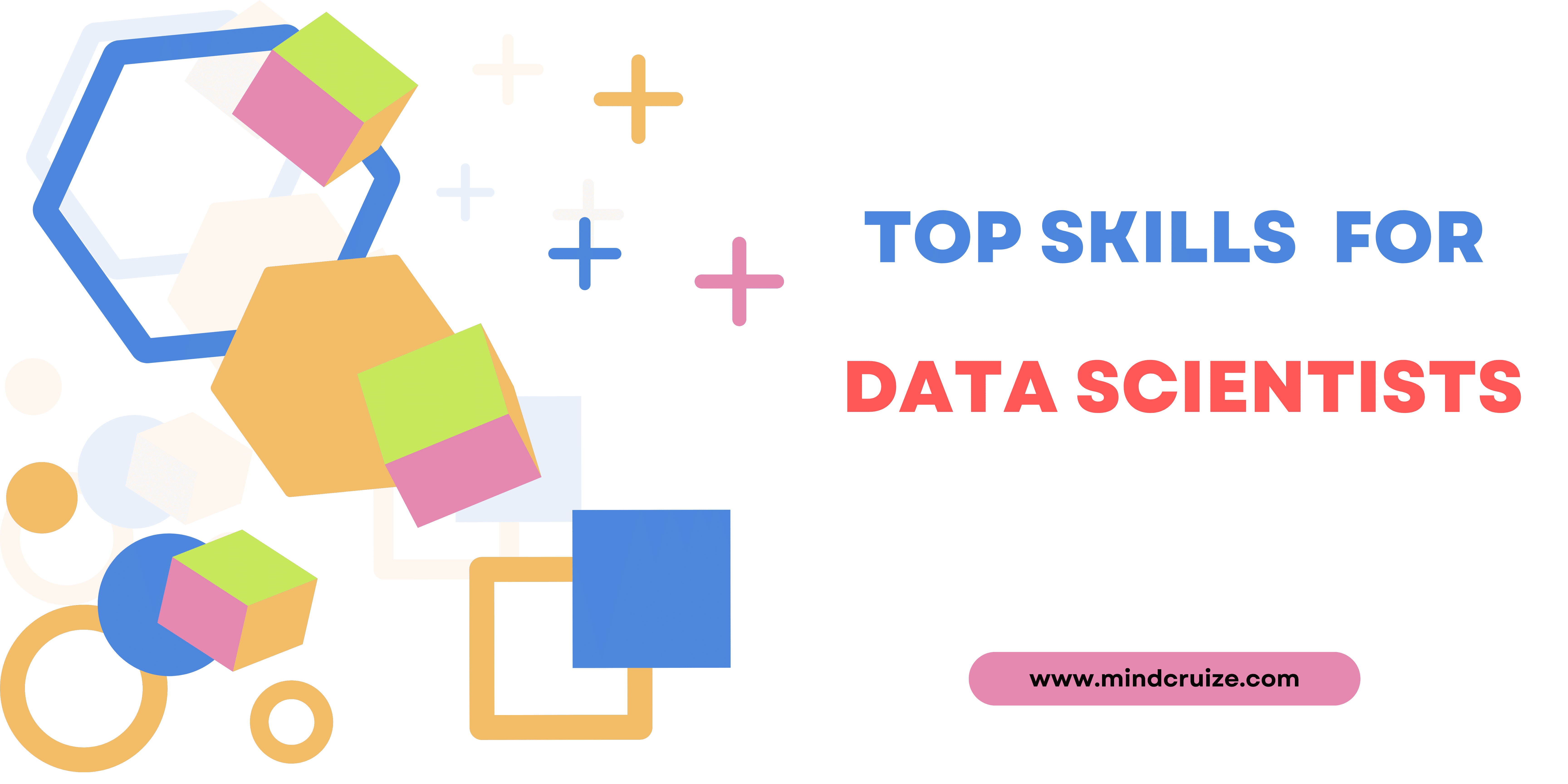 Top Skills for Data Scientists
